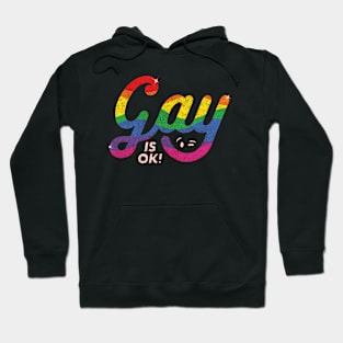 Gay is OK Hoodie